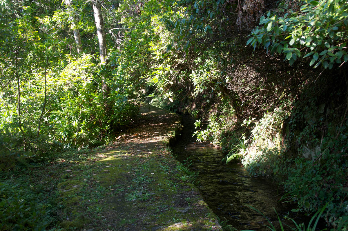 forge de montolieu