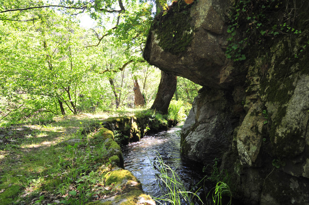 forge de montolieu