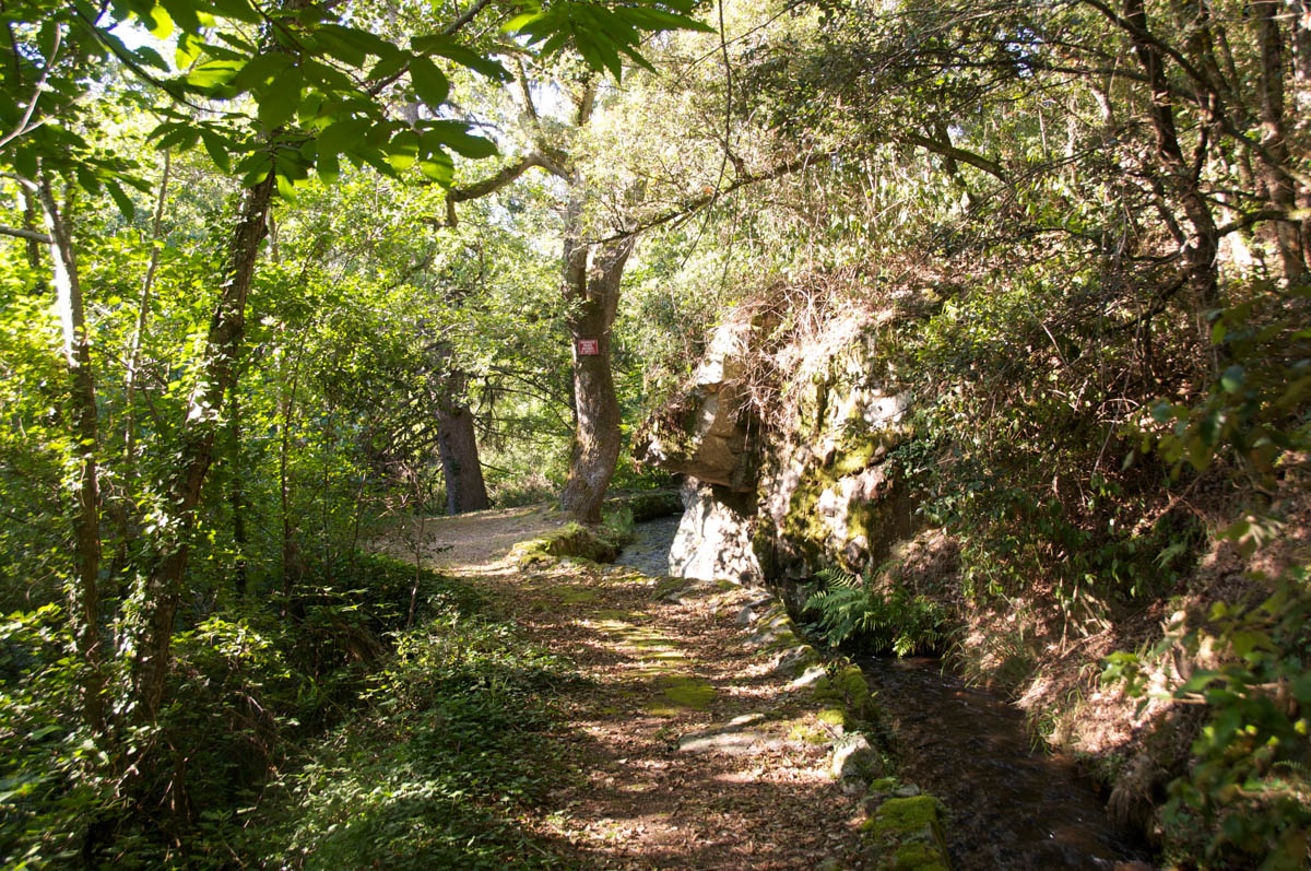 forge de montolieu