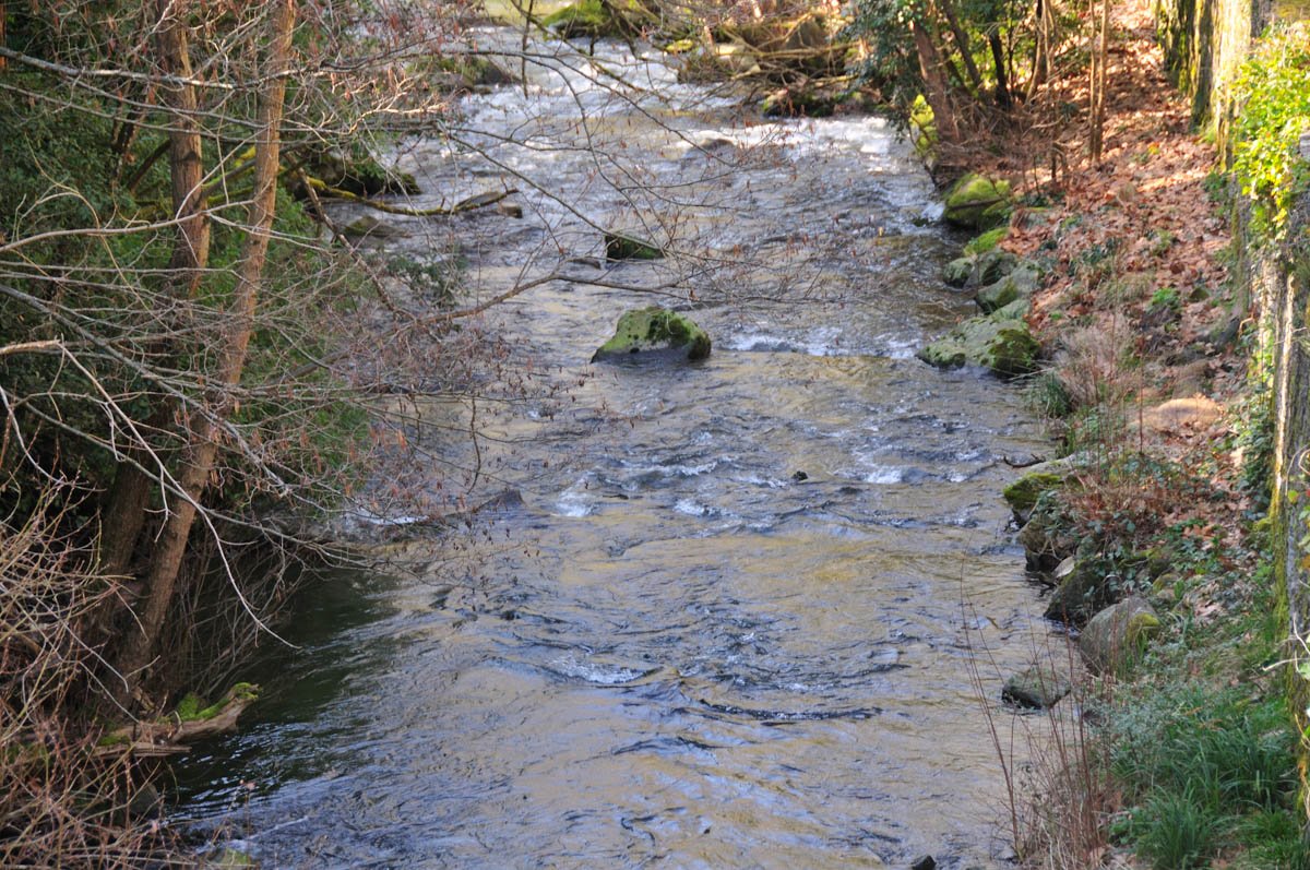 forge de montolieu