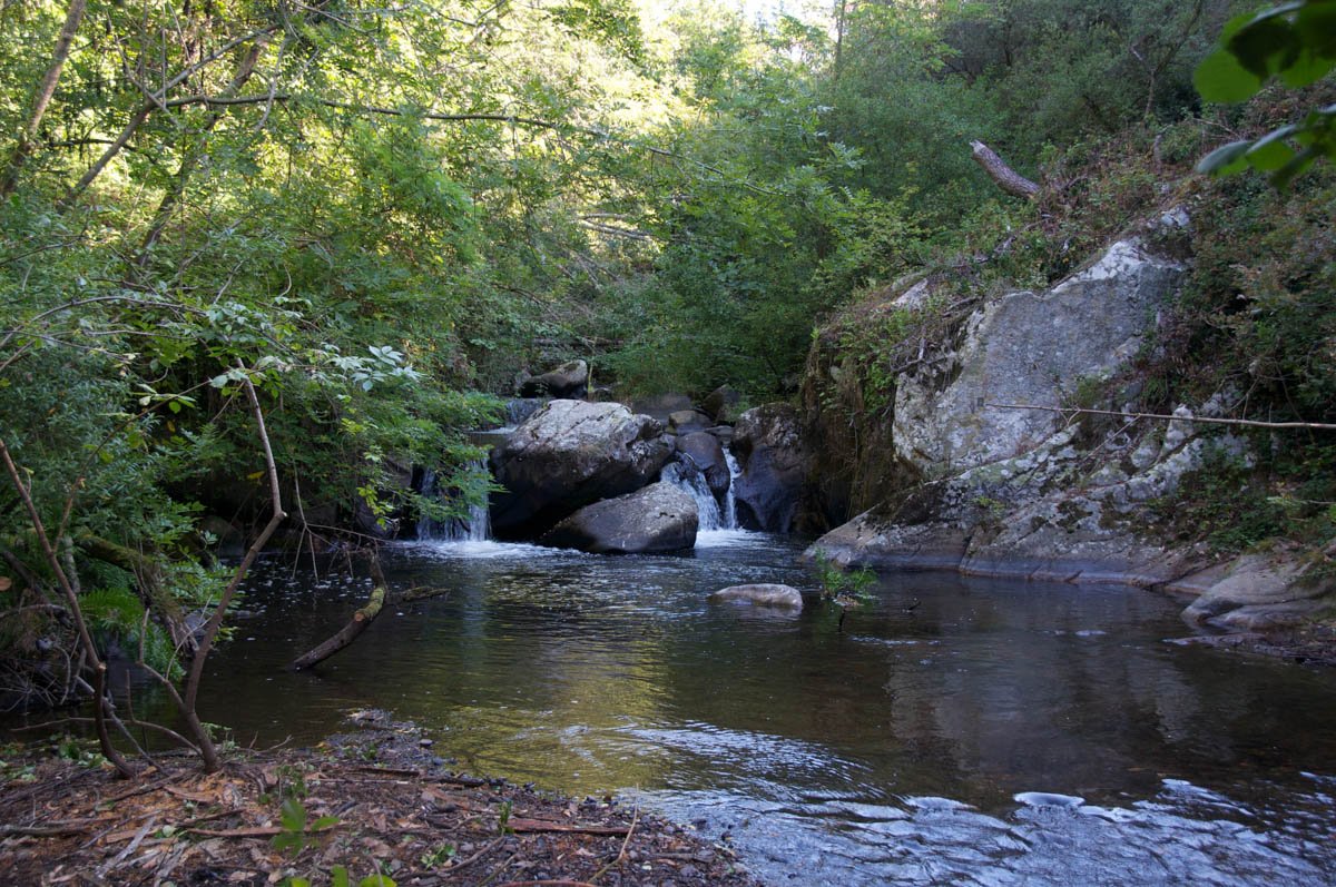 forge de montolieu