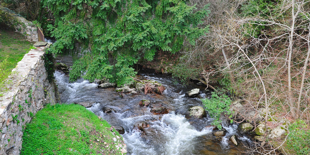 forge de montolieu